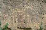 PICTURES/Crow Canyon Petroglyphs - Big Warrior Panel/t_P1200042.JPG